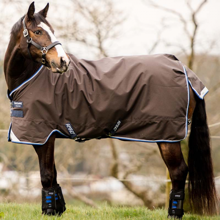 Pony Rug Amigo Bravo 12 0g Brown in the group Horse Rugs / Turnout Rugs / Rain Sheets at Equinest (AKRA61Gr_r)