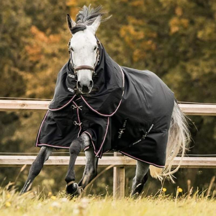 Winter Turnout Combo Rug Plus 200g 1200D Black in the group Horse Rugs / Turnout Rugs / Winter Rugs at Equinest (AS006001115BA_r)