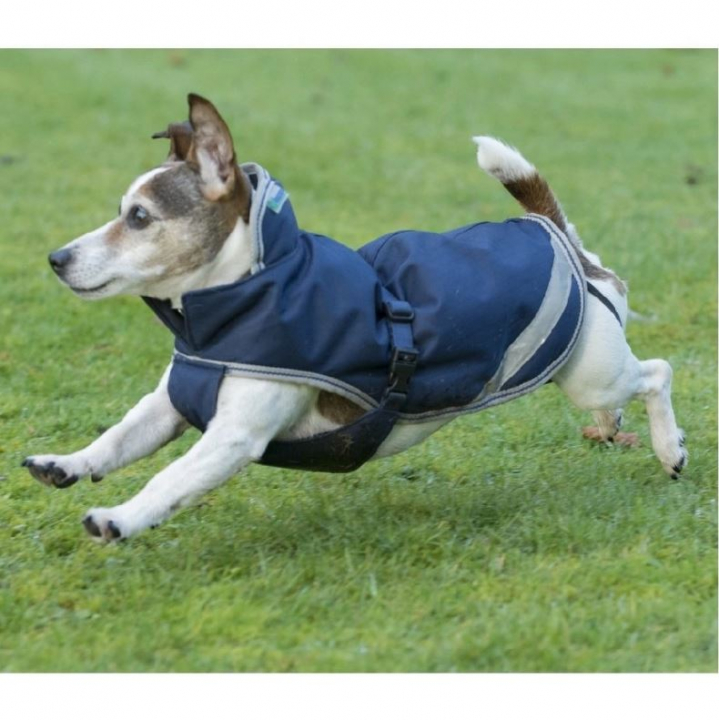 Dog Blanket Freedom 300g Navy Blue in the group Dog / Dog Coats & Dog Sweathers at Equinest (B-281300Ma_r)