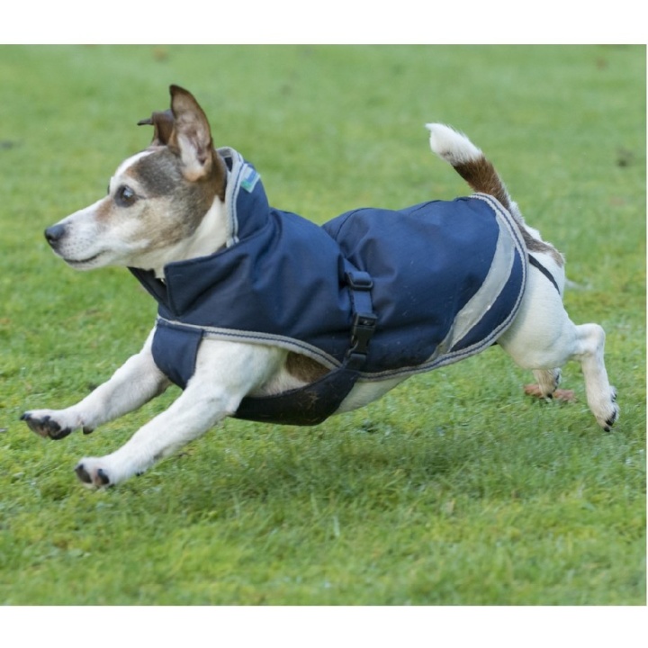 Dog Blanket Freedom 50g Navy Blue in the group Dog / Dog Coats & Dog Sweathers at Equinest (B-281_M_r)