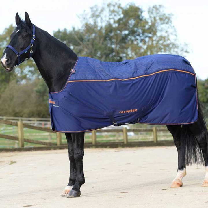 Therapy Cooler Navy Blue/Orange in the group Horse Rugs / Coolers at Equinest (B-416Ma_r)