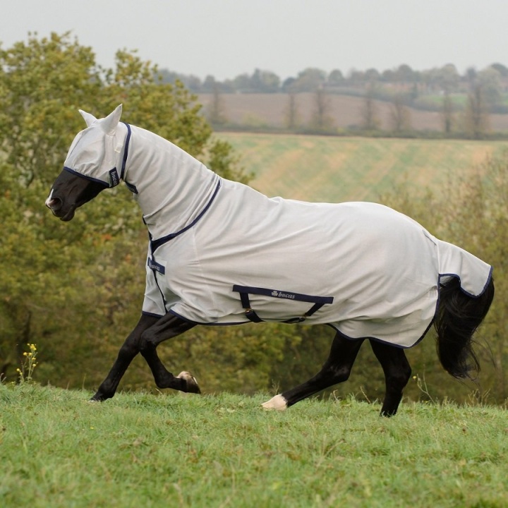 Fly Rug Freedom Silver 125 in the group Horse Rugs / Fly Rugs & Eczema Rugs at Equinest (B-434SI-125)
