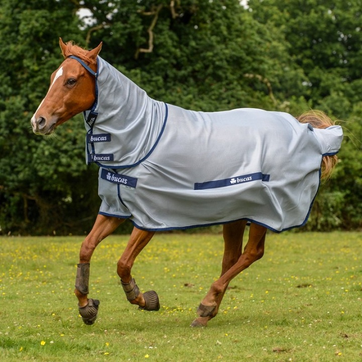 Fly Rug Buzz Off Silver 125 in the group Horse Rugs / Fly Rugs & Eczema Rugs at Equinest (B-607SI-125)