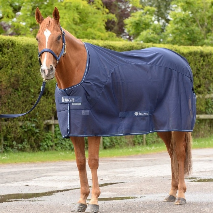 Competition Cooler Navy Blue in the group Horse Rugs / Coolers at Equinest (B-639_M_r)