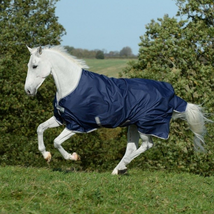 Rain Blanket Freedom Turnout Light 0g Navy 0Blue in the group Horse Rugs / Turnout Rugs / Rain Sheets at Equinest (B-643Ma_r)