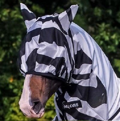 Fly Mask Buzz Off Zebra in the group Fly Protection at Equinest (B-651)