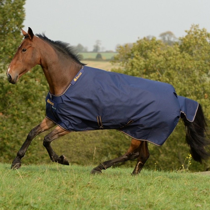 Irish Turnout 50g Navy/Gold 115 in the group Horse Rugs / Turnout Rugs / Rain Sheets at Equinest (B-656MAGU-115)