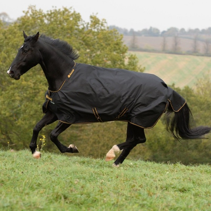 Irish Turnout 50g Black/Gold in the group Horse Rugs / Turnout Rugs / Rain Sheets at Equinest (B-656_S_r)