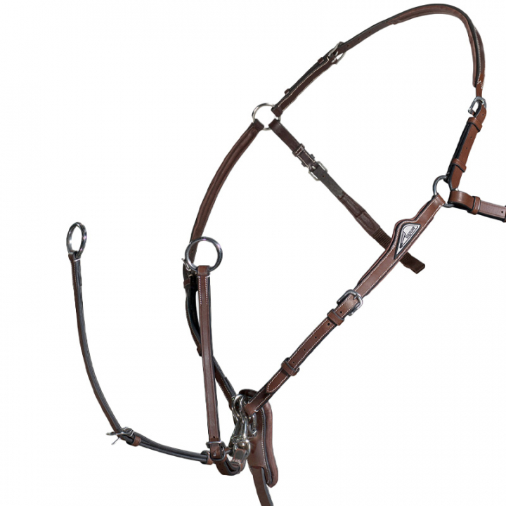 Martingale with Attachment Brown in the group Horse Tack / Martingale & Breastplate / Breastplate at Equinest (BJ202_B_r)