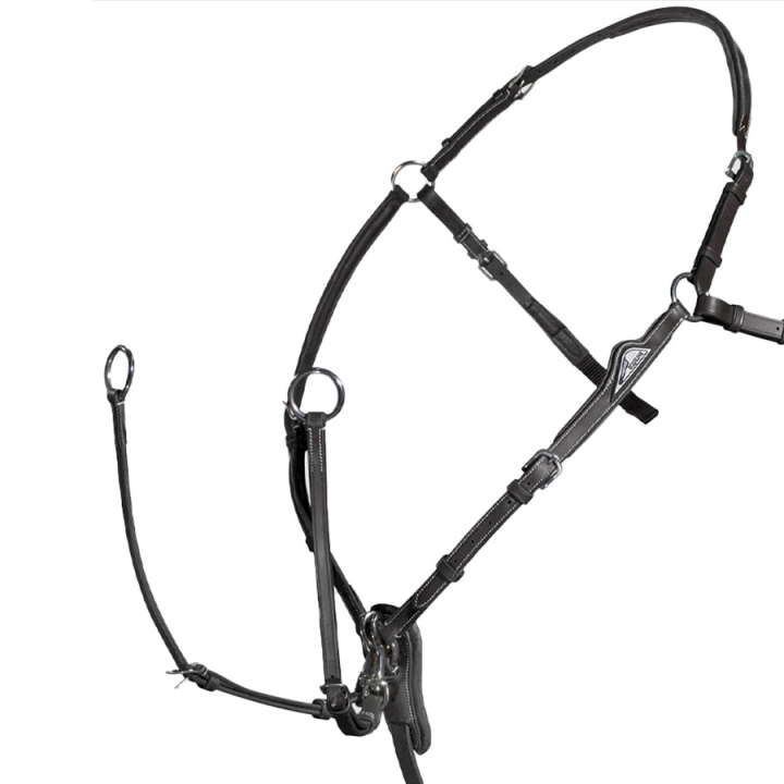 Martingale with Attachment Black in the group Horse Tack / Martingale & Breastplate / Breastplate at Equinest (BJ202_S_r)