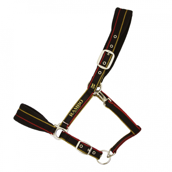 Halter Rambo Padded Witney Gold in the group Horse Tack / Halters / Fabric & Nylon Halters at Equinest (DHAG40Gu_r)