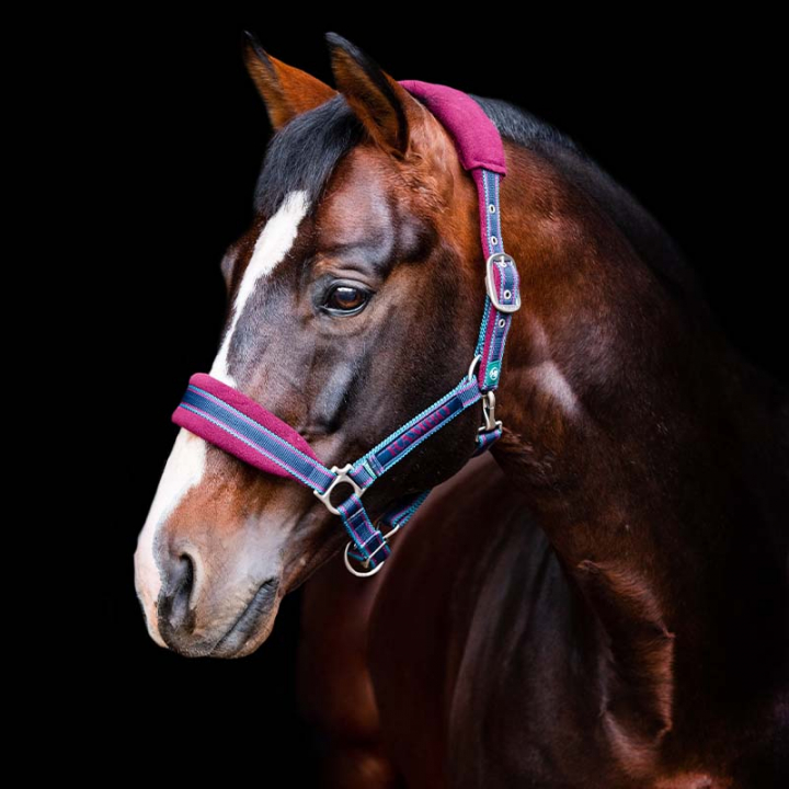 Halter Rambo Padded Red in the group Horse Tack / Halters / Fabric & Nylon Halters at Equinest (DHAG40Vn_r)