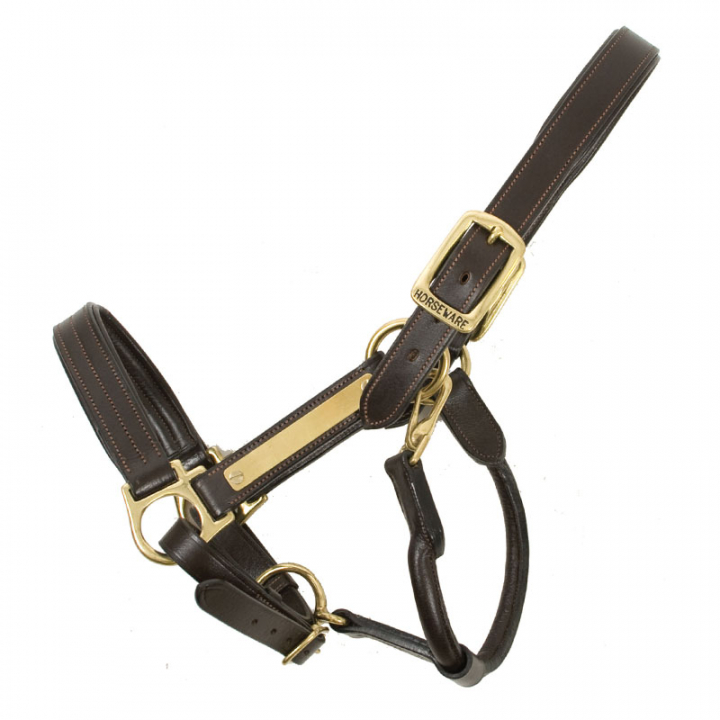 Leather Halter Amigo Padded Brown in the group Horse Tack / Halters / Leather Halters at Equinest (DHRL9PBr_r)