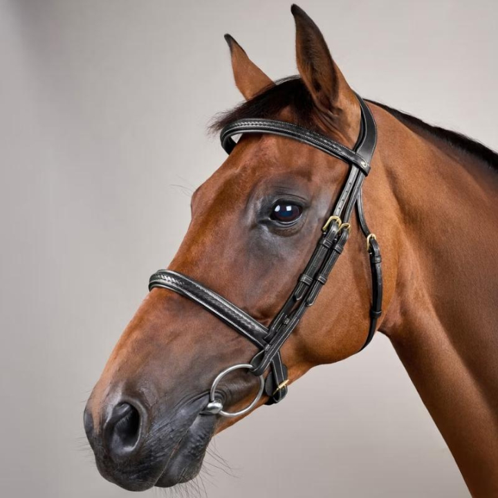 Bridle without Flash Plaited Dyon Collection Black in the group Horse Tack / Bridles & Browbands / Bridles at Equinest (DY1000101BA_r)