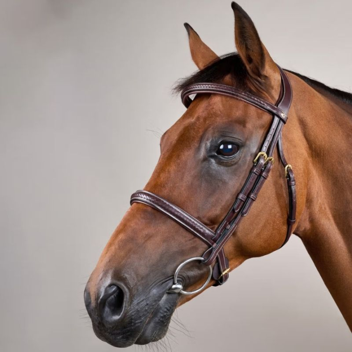 Bridle without Flash Plaited Dyon Collection Brown in the group Horse Tack / Bridles & Browbands / Bridles at Equinest (DY1000105BR_r)