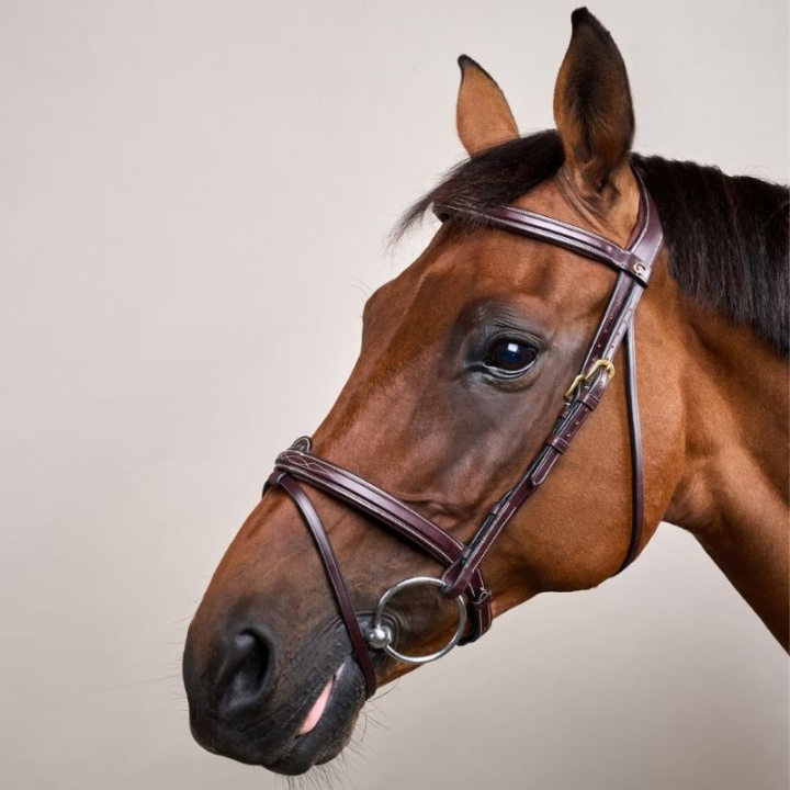 Raised Combination Bridle DC Brown in the group Horse Tack / Bridles & Browbands / Bridles at Equinest (DYAAAABr_r)