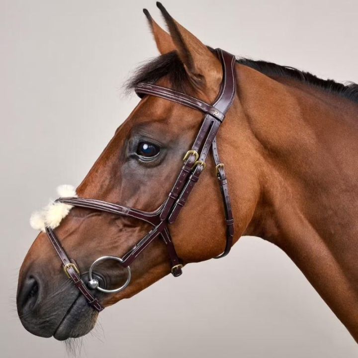 Figure 8 Noseband Bridle Dyon Collection Brown in the group Horse Tack / Bridles & Browbands / Bridles at Equinest (DYAAACBRCBR_r)