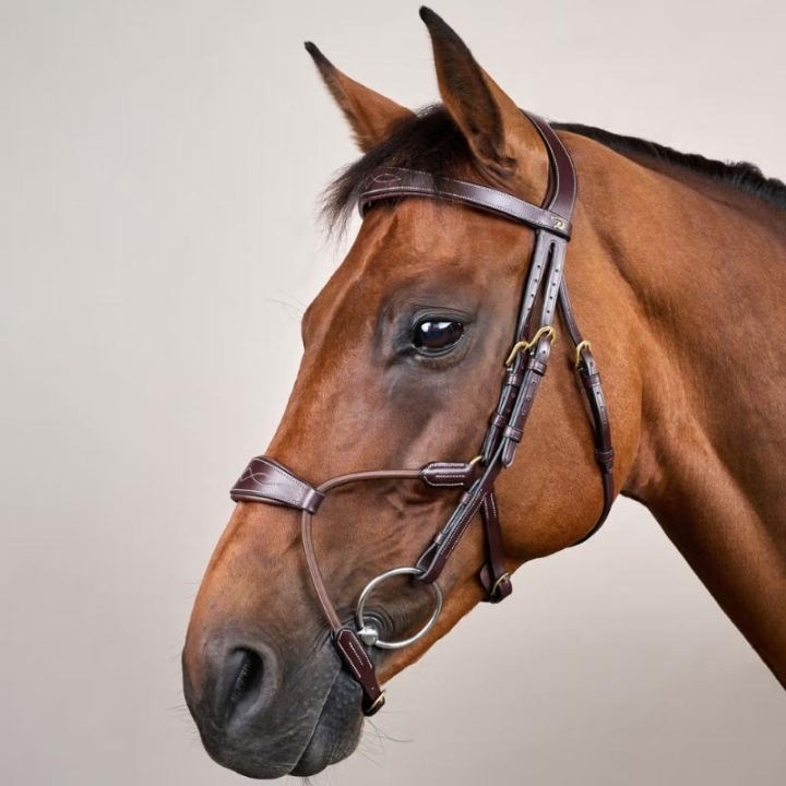 Bridle Elastic Hybrid Dyon Collection Brown in the group Horse Tack / Bridles & Browbands / Bridles at Equinest (DYABA6BRCBR_r)