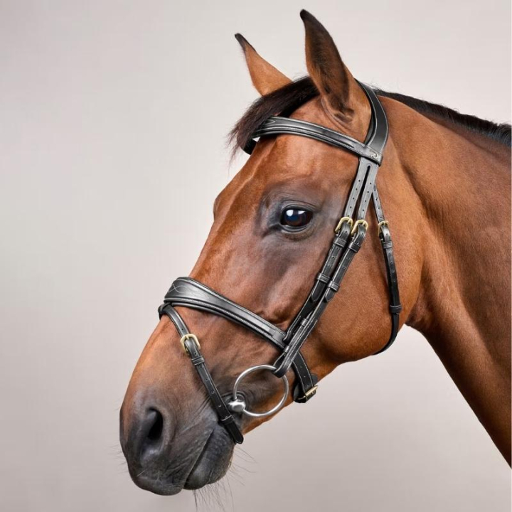 Anatomical Combination Bridle DC Black in the group Horse Tack / Bridles & Browbands / Bridles at Equinest (DYABABSv_r)