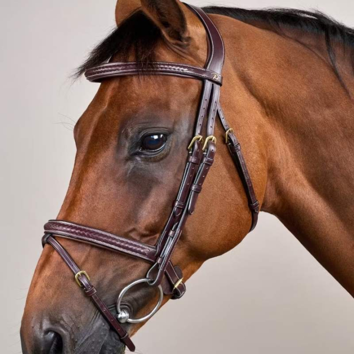 Flash Noseband Bridle Plaited Dyon Collection Brown in the group Horse Tack / Bridles & Browbands / Bridles at Equinest (DYAOAKBRCBR_r)