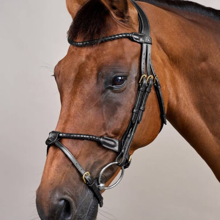Flash Noseband Bridle Braided Dyon Collection Black in the group Horse Tack / Bridles & Browbands / Bridles at Equinest (DYARAYBLCBA_r)