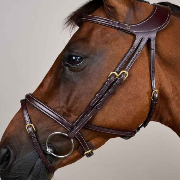 Bridle Difference Dyon Collection Brown in the group Horse Tack / Bridles & Browbands / Bridles at Equinest (DYGXAUBRCBR_r)