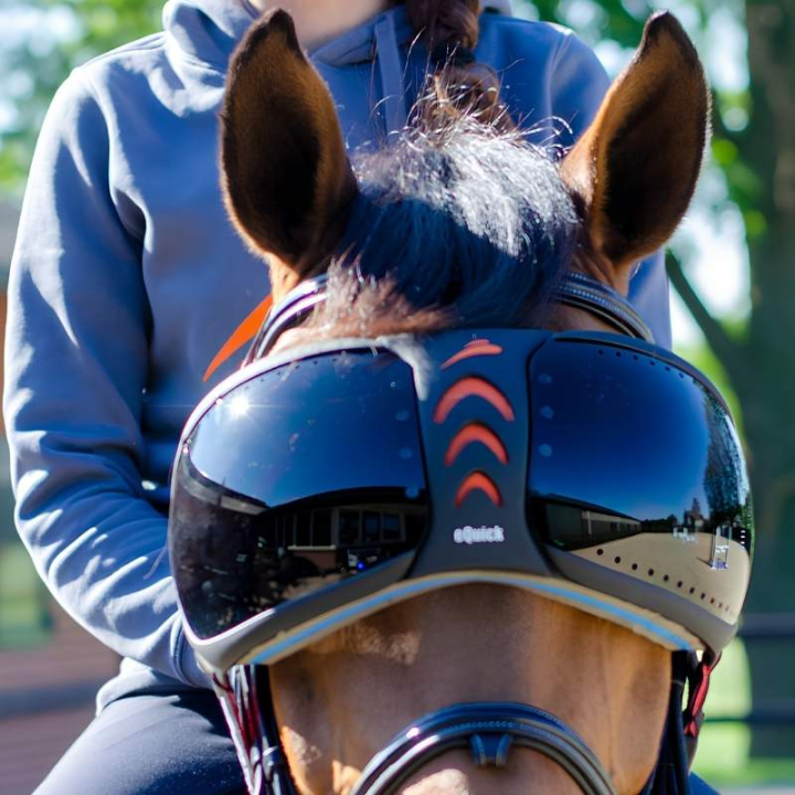 eVysor Darker in the group Horse Tack / Horse Tack Accessories at Equinest (EVYSOR2)
