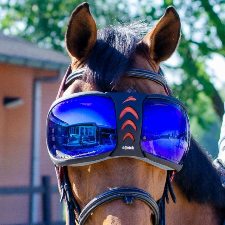 eVysor Mirrored Blue in the group Horse Tack / Horse Tack Accessories at Equinest (EVYSOR3BL)