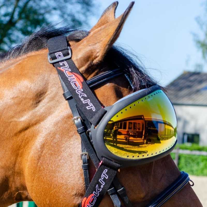 eVysor Mirrored Orange in the group Horse Tack / Horse Tack Accessories at Equinest (EVYSOR4OR)