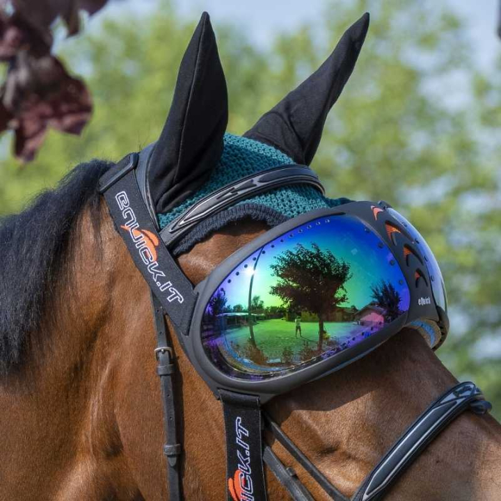 eVysor Mirrored Green  in the group Horse Tack / Horse Tack Accessories at Equinest (EVYSOR5GN)