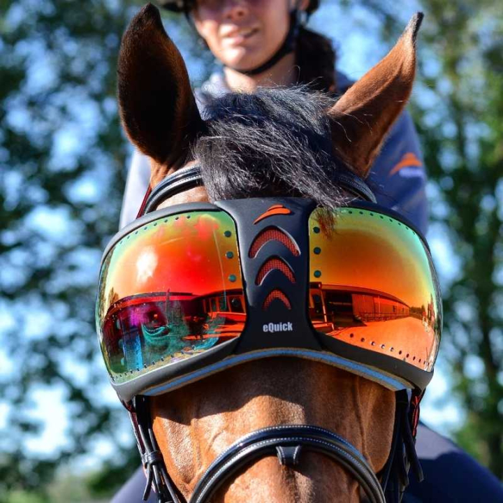 eVysor Mirrored Rainbow in the group Horse Tack / Horse Tack Accessories at Equinest (EVYSOR6)