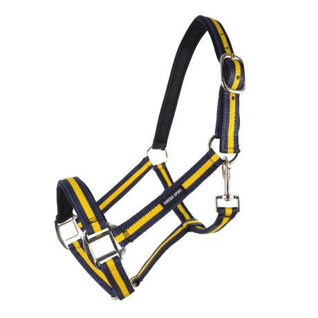 PP Halter Navy Blue/Yellow in the group Horse Tack / Halters / Fabric & Nylon Halters at Equinest (H12002MaGu_r)