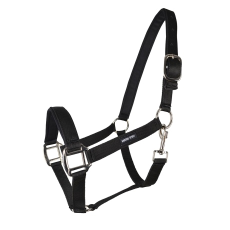 PP Halter Black in the group Horse Tack / Halters / Fabric & Nylon Halters at Equinest (H12002_S_r)