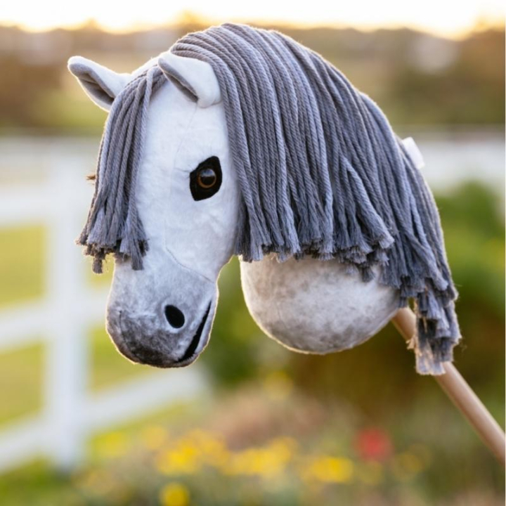 Hobby Horse Earl in the group Hobby Horses & Toy Horses / Hobby Horses at Equinest (IT071110)