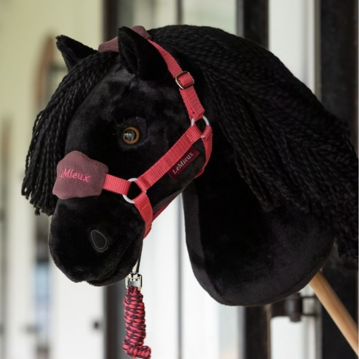 Hobby Horse Spike in the group Hobby Horses & Toy Horses / Hobby Horses at Equinest (IT071120)