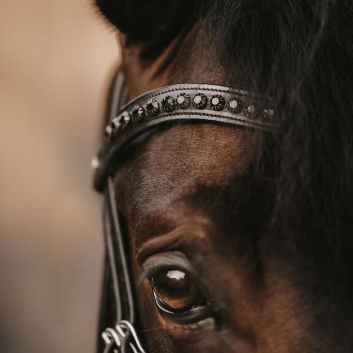 Browband V-shaped Black Swarovski New English Collection Black in the group Horse Tack / Bridles & Browbands / Browbands at Equinest (NE02NBLCBA_r)