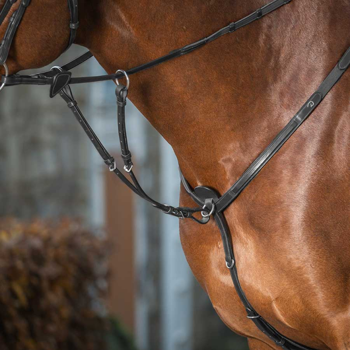 Short Martingale New English Collection Black in the group Horse Tack / Martingale & Breastplate / Martingale at Equinest (NE07ASv_r)