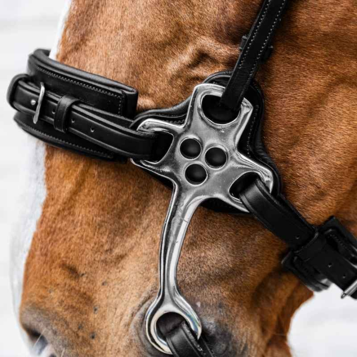Hackamore New English Collection Black in the group Horse Tack / Bits / Hackamore Bits at Equinest (NE1400101BA_r)