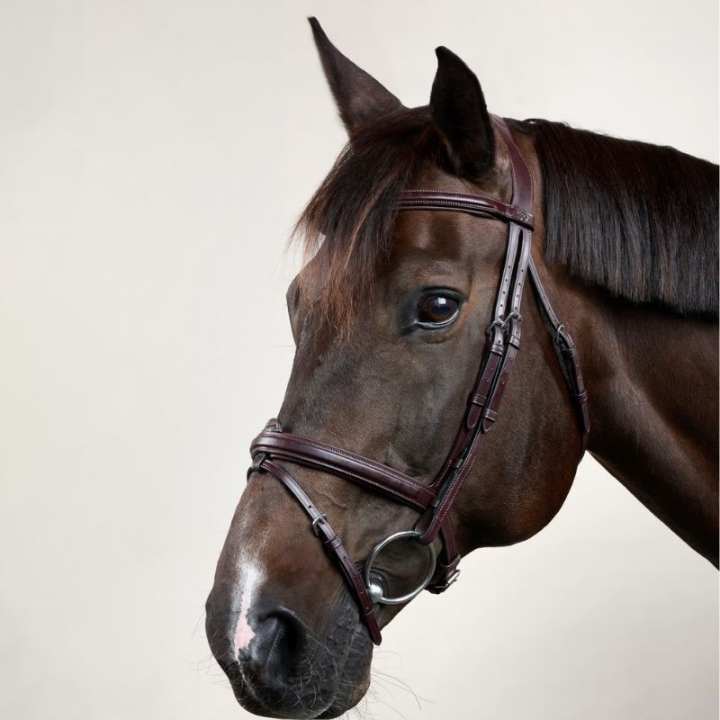 Anatomic Combination Bridle NE Brown in the group Horse Tack / Bridles & Browbands / Bridles at Equinest (NEAAAABr_r)