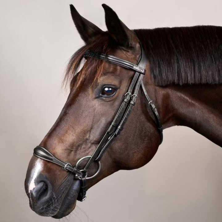 Adjustable Drop Noseband Bridle New English Collection Black in the group Horse Tack / Bridles & Browbands / Double Bridle, Weymouth & Dressage Bridles at Equinest (NEAAAEBLCBA_r)