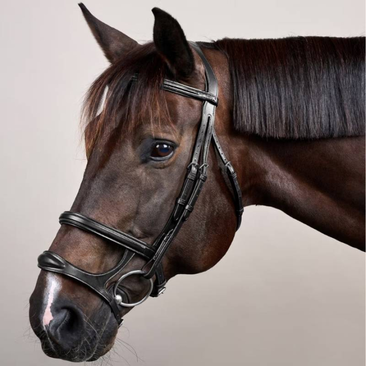 Double Noseband Bridle New English Collection Black in the group Horse Tack / Bridles & Browbands / Bridles at Equinest (NEAAAHBLCBA_r)
