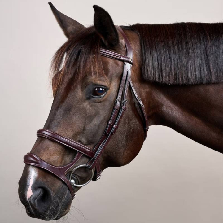 Double Noseband Bridle New English Collection Brown in the group Horse Tack / Bridles & Browbands / Bridles at Equinest (NEAAAHBRCBR_r)