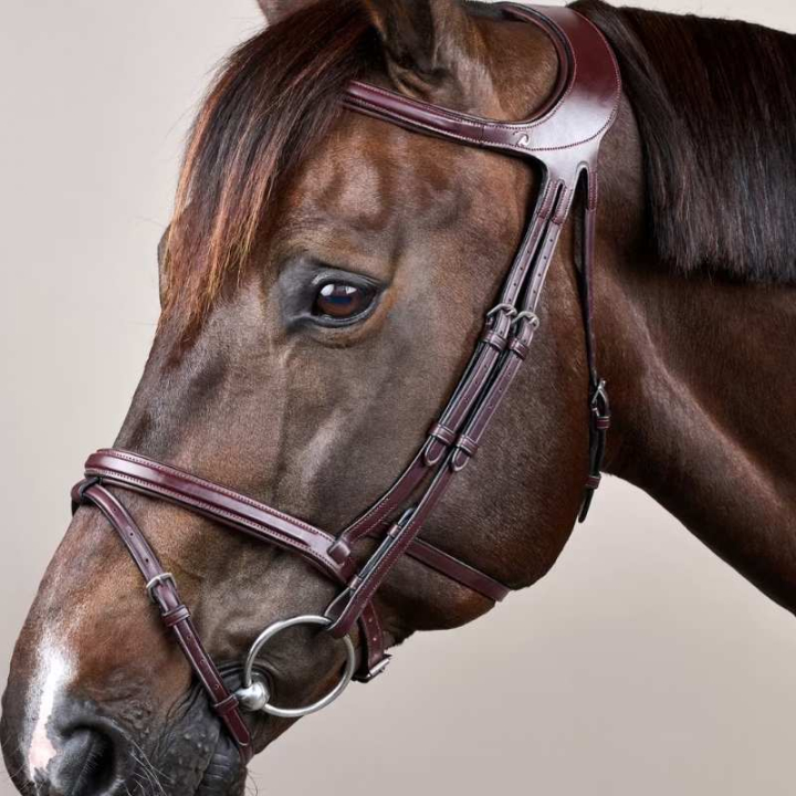 Bridle Difference New English Collection Brown in the group Horse Tack / Bridles & Browbands / Bridles at Equinest (NEGXAUBRCBR_r)