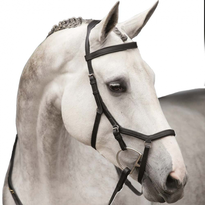 Rambo Micklem Competition Bridle Black in the group Horse Tack / Bridles & Browbands / Bridles at Equinest (SBAB4K_S_r)