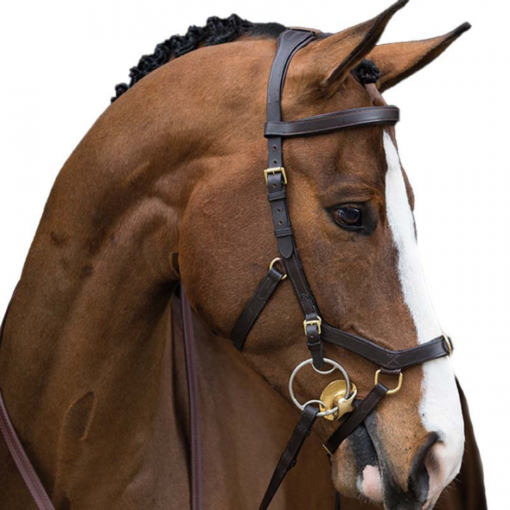 Rambo Micklem Multibridle Bridle Brown in the group Horse Tack / Bridles & Browbands / Bridles at Equinest (SBAB50_B_r)