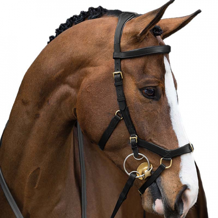 Rambo Micklem Multibridle Bridle Black in the group Horse Tack / Bridles & Browbands / Bridles at Equinest (SBAB50_S_r)