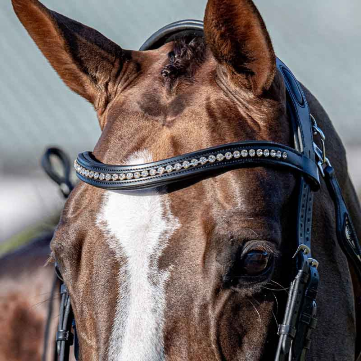 Browband Rhinestone U-Shape Black in the group Horse Tack / Bridles & Browbands / Browbands at Equinest (SC013PBB0425BA)