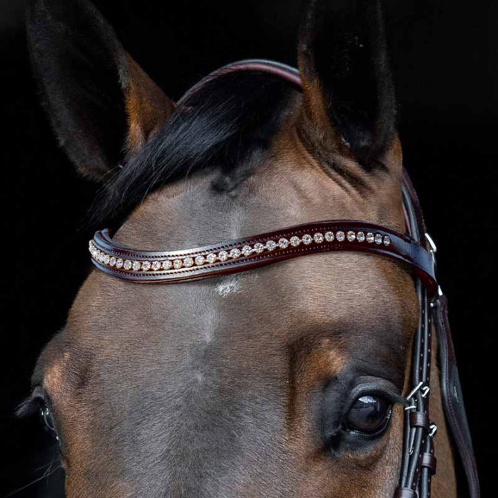 Browband Rhinestone U-Shape Brown in the group Horse Tack / Bridles & Browbands / Browbands at Equinest (SC013PBB0425BR)