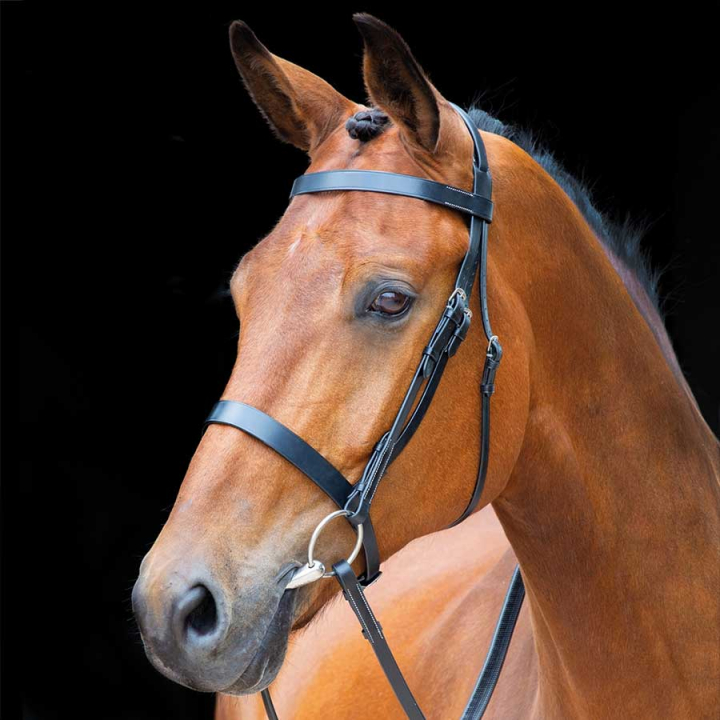 Bridle + Reins Salisbury Berrington Black in the group Horse Tack / Bridles & Browbands / Bridles at Equinest (SH27601Sv_r)