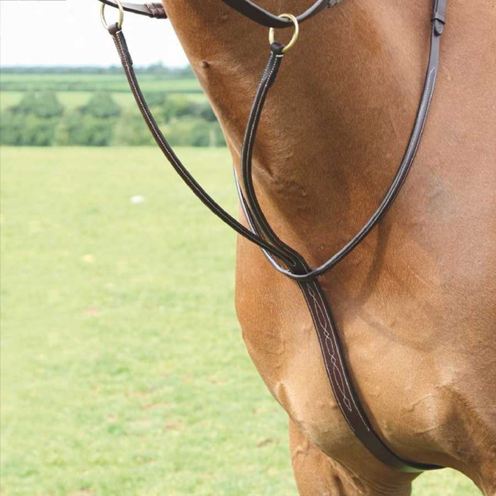 Martingale Salisbury Brown in the group Horse Tack / Martingale & Breastplate / Martingale at Equinest (SH28301Br_r)